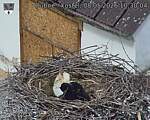 Capi_Dubne_20260508_103004.jpg