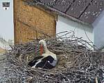 Capi_Dubne_20260508_105004.jpg