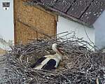 Capi_Dubne_20260508_110502.jpg