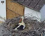 Capi_Dubne_20260508_111003.jpg