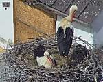 Capi_Dubne_20260508_112503.jpg