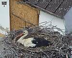 Capi_Dubne_20260508_121003.jpg