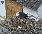 Capi_Dubne_20260508_122503.jpg