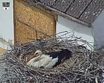 Capi_Dubne_20260508_124502.jpg