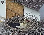 Capi_Dubne_20260508_130004.jpg