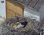 Capi_Dubne_20260508_132502.jpg