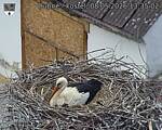 Capi_Dubne_20260508_133502.jpg