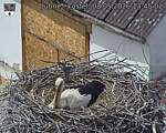 Capi_Dubne_20260508_134502.jpg