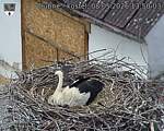 Capi_Dubne_20260508_135003.jpg