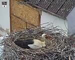 Capi_Dubne_20260508_140502.jpg