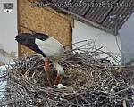 Capi_Dubne_20260508_141002.jpg