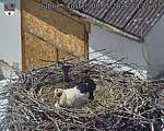 Capi_Dubne_20260508_142503.jpg