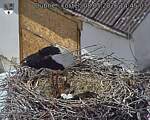 Capi_Dubne_20260508_144503.jpg