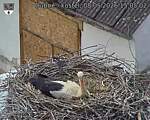 Capi_Dubne_20260508_150502.jpg