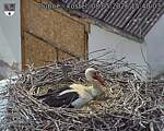 Capi_Dubne_20260508_154003.jpg