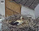 Capi_Dubne_20260508_154502.jpg