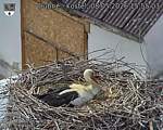 Capi_Dubne_20260508_155503.jpg