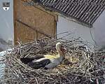 Capi_Dubne_20260508_160002.jpg