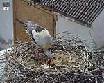 Capi_Dubne_20260508_160502.jpg