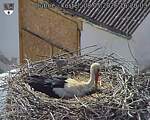 Capi_Dubne_20260508_162003.jpg