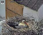 Capi_Dubne_20260508_163003.jpg