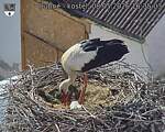 Capi_Dubne_20260508_163503.jpg
