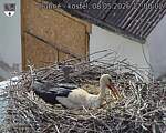 Capi_Dubne_20260508_170002.jpg