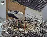 Capi_Dubne_20260508_170502.jpg