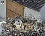 Capi_Dubne_20260508_171003.jpg