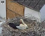 Capi_Dubne_20260508_172502.jpg