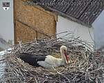 Capi_Dubne_20260508_173003.jpg