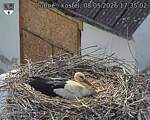 Capi_Dubne_20260508_173502.jpg