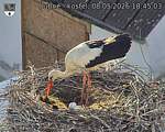 Capi_Dubne_20260508_184503.jpg