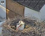 Capi_Dubne_20260508_191004.jpg