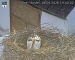 Capi_Dubne_20260508_194002.jpg