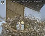 Capi_Dubne_20260508_195003.jpg