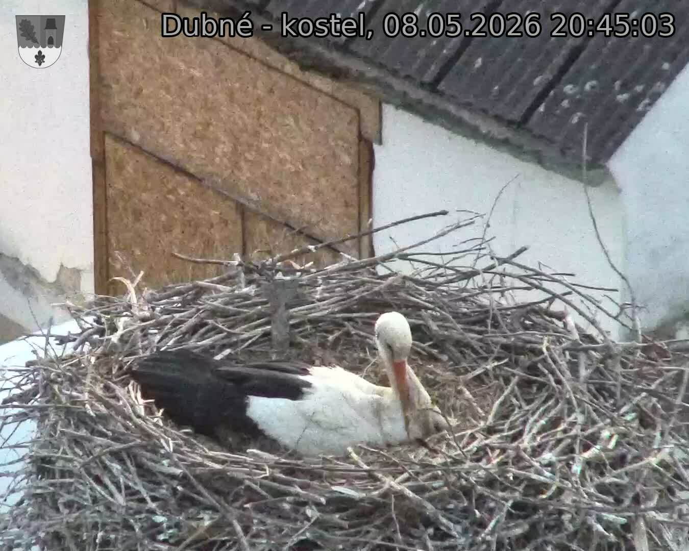 Capi_Dubne_20260508_204503.jpg (1350&nbsp;x&nbsp;1080)