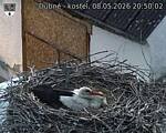 Capi_Dubne_20260508_205002.jpg