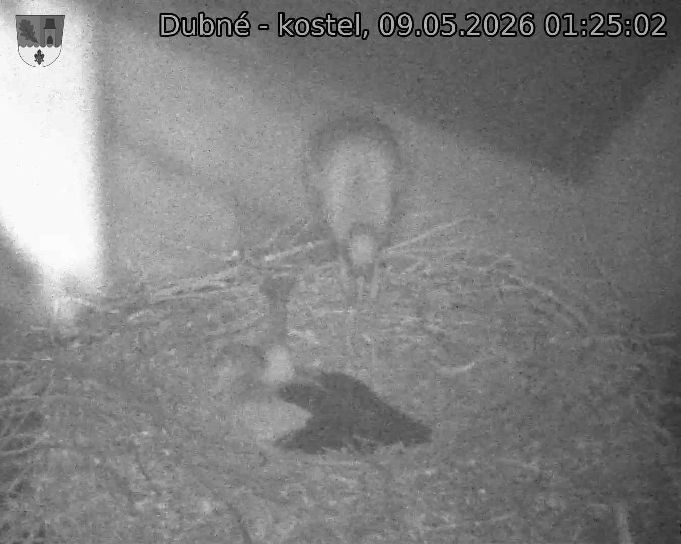 preload