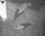 Capi_Dubne_20260509_030002.jpg
