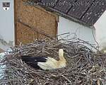 Capi_Dubne_20260509_062004.jpg