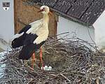 Capi_Dubne_20260509_063003.jpg