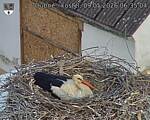 Capi_Dubne_20260509_063504.jpg