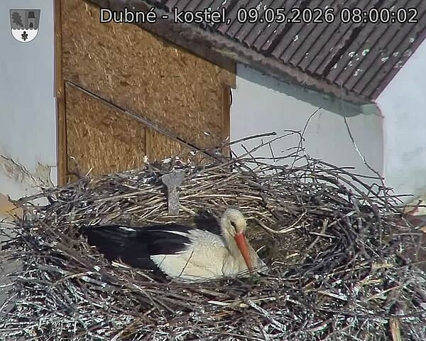 preload