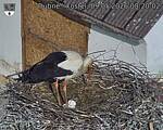 Capi_Dubne_20260509_082002.jpg