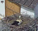 Capi_Dubne_20260509_114504.jpg