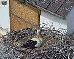 Capi_Dubne_20260509_121004.jpg