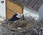 Capi_Dubne_20260509_122002.jpg