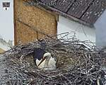 Capi_Dubne_20260509_123002.jpg