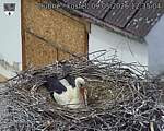 Capi_Dubne_20260509_123504.jpg